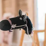 Apartment Hof Koehne - Altes - Hund *
