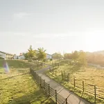 Hof Koehne - Altes - Hund *