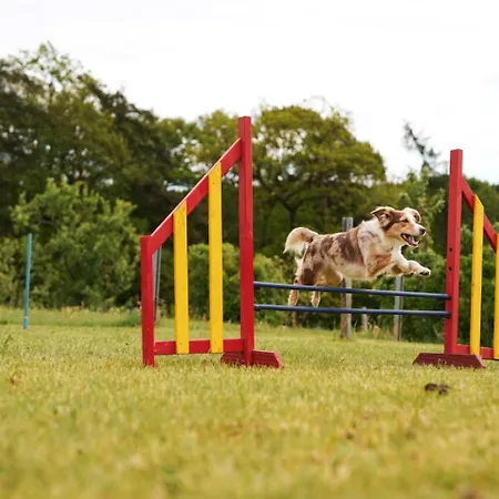 Hof Koehne - Altes - Hund דירה שמאלנברג