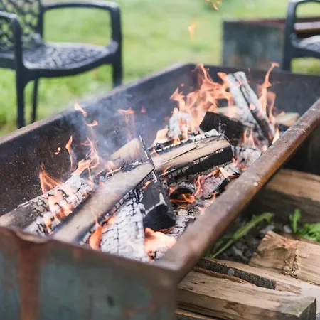 Hof Koehne - Altes - Hund