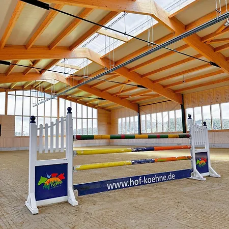 Hof Koehne - Altes - Hund *