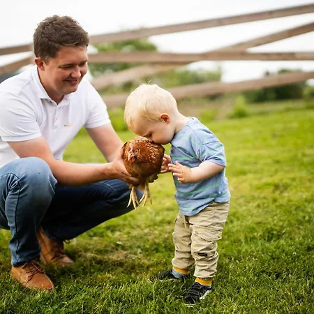 דירה Hof Koehne - Altes - Hund