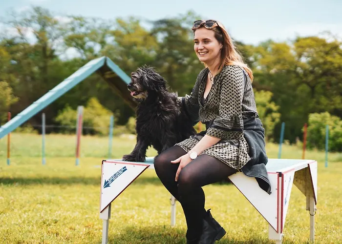 Hof Koehne - Altes - Hund Schmallenberg
