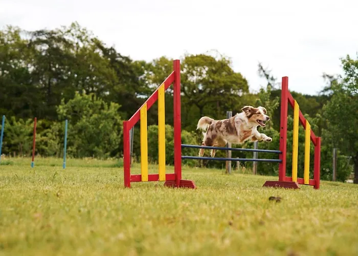 Hof Koehne - Altes - Hund Appartement Schmallenberg