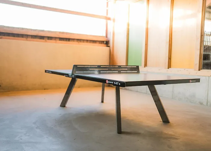 Hof Koehne - Altes - Hund *