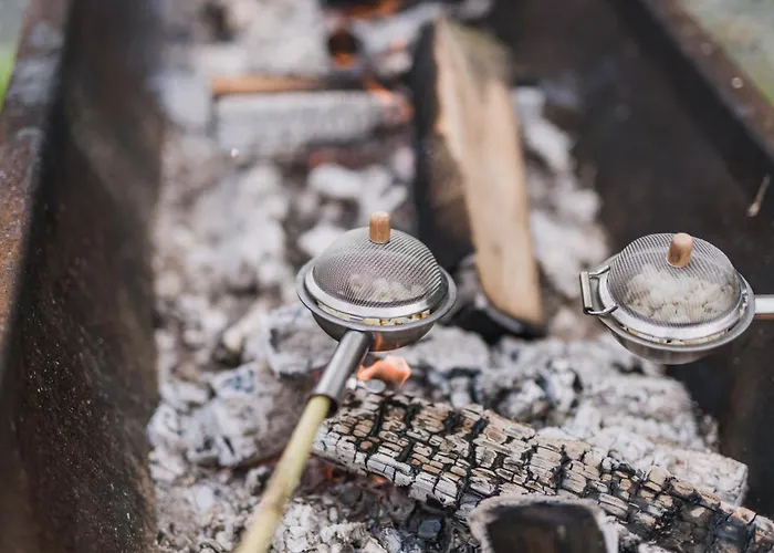 Appartement Hof Koehne - Altes - Hund