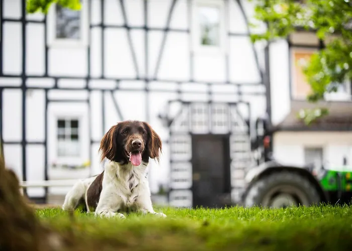 Appartement Hof Koehne - Altes - Hund *