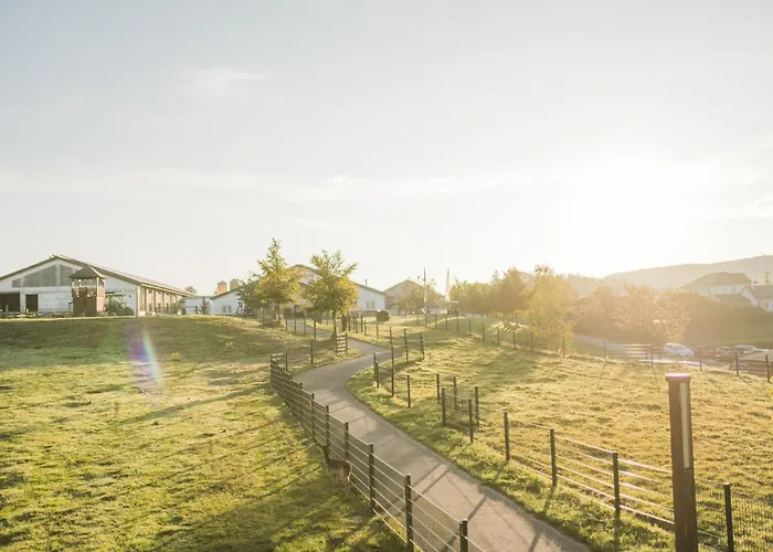 Hof Koehne - Altes - Hund *