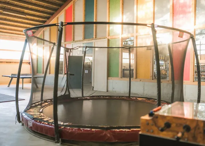 Hof Koehne - Altes - Hund