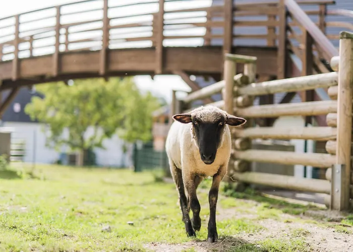 Hof Koehne - Altes - Hund *