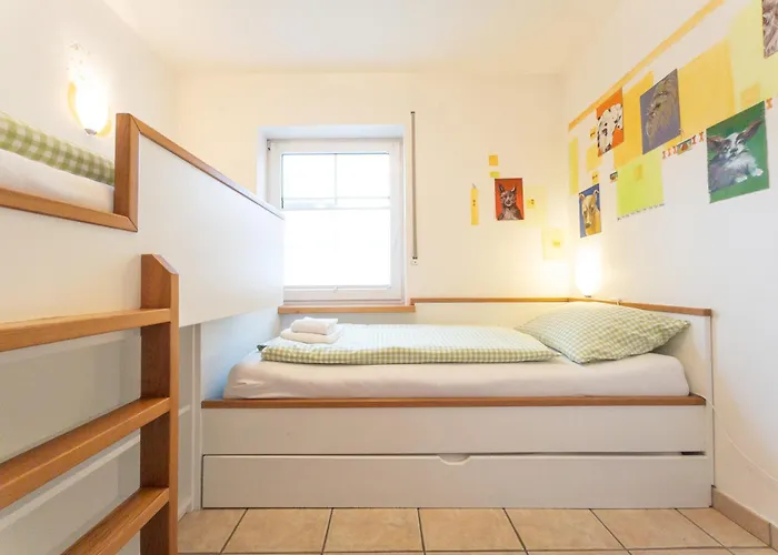 Hof Koehne - Altes - Hund * Schmallenberg