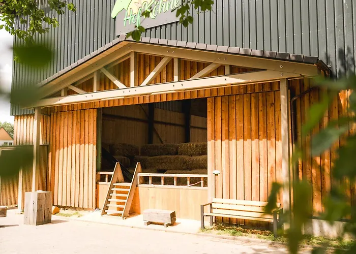 Appartement Hof Koehne - Altes - Hund Schmallenberg