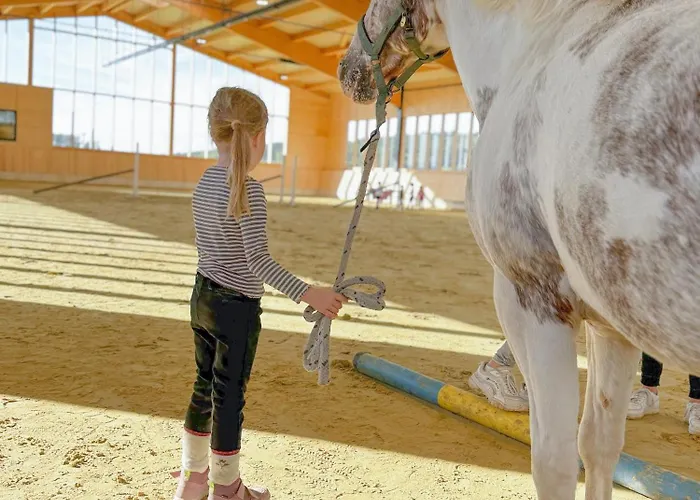 Hof Koehne - Altes - Hund Appartement Schmallenberg