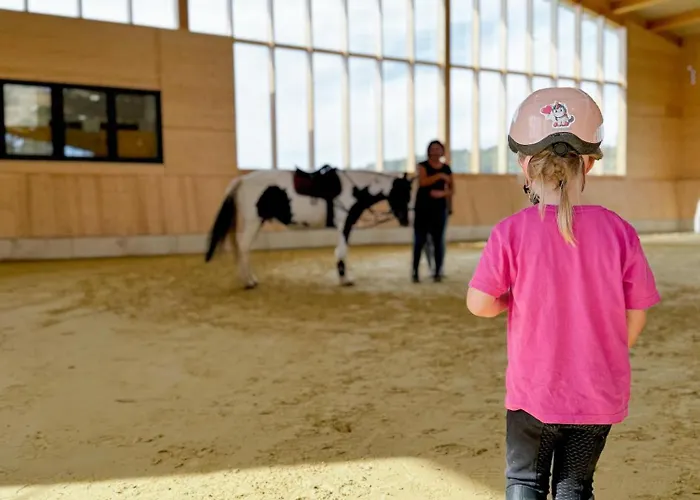 Hof Koehne - Altes - Hund Appartement Schmallenberg